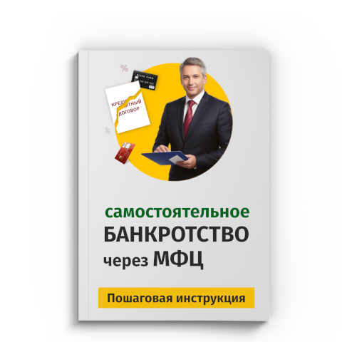 Пошаговая процедура банкротства через МФЦ в Туле